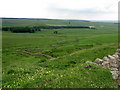 NY8070 : Pastures north of Hadrian's Wall and Sewingshield Crags by Mike Quinn