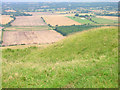 Castle Rings, Edburton Hill