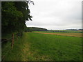 Farmland and woods near Hindon