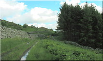 SH7229 : View South along the Roman road towards the forest entry gate by Eric Jones