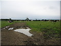ST7327 : Farmland near Stileway Farm by Phil Williams