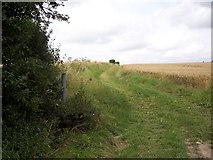 SU0017 : Field side Footpath by Maigheach-gheal