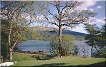 NM9644 : Loch Creran by David Seale