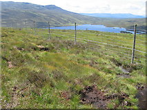 NN6766 : New plantation above Loch Errochty by Chris Wimbush