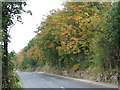 Cone Lane ,Silkstone Common