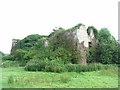 N8469 : Liscartan Castle by JP