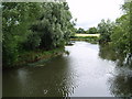 SO9545 : River Avon from Pershore bridge by andy dolman