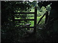 Half-hidden stile near Dodnash Priory Farm