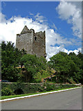 W2850 : Castles of Munster: Ballinacarriga, Co. Cork by Mike Searle