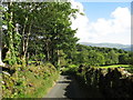 Road below Cors y Garnedd