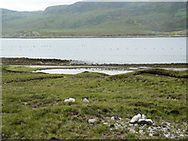 NC3956 : Shoreline of Loch Eriboll by RH Dengate
