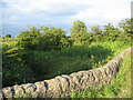 Broadstone Bridge, Beith