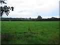 ST7924 : Farmland off Bleet Lane by Phil Williams