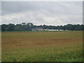 Ellerholme Farm over the fields