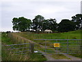 Horses in a field at Cults Farm