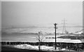 Rhubarb fields, Alverthorpe, winter 1959