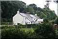 Houses in the Newlyn Valley