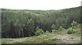 View northwards from the bridleway towards Bwlch Garw