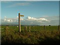 Start of footpath across field to White Hill