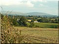 NY5369 : View across fields above Kirkcambeck by Rose and Trev Clough
