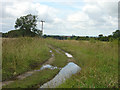 Field track near Rossington Hall