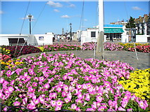 TR1768 : Gardens on the Seafront, Herne Bay by Colin Smith