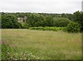 Field next to the River Colne, Low Westwood, Golcar