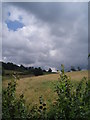 Fields, East Ogwell