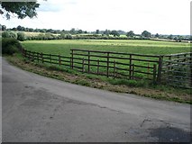 SO9465 : Farmland near Astwood Bridge by Trevor Rickard