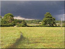 SU5570 : Farmland, Bucklebury by Andrew Smith