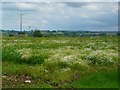 Farmland to the east of Walrond