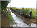 Farm track near Bourtie Lodge