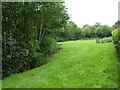 Small field beside the Rhiw