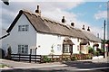 East Knighton: picturesque cottages