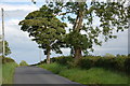 The Ballynanny Road near Loughbrickland