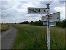 SP7598 : Field Road to Hallaton by Mat Fascione