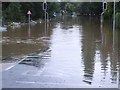 Pedestrian crossing and flotsam, Waterside