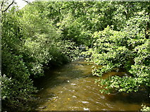 SH8715 : River Dovey at Ty-gwyn by liz dawson