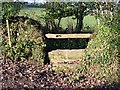 Stile at the end of the footpath