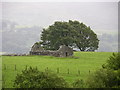 Ruined cottage