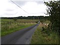 Road at Davagh Upper