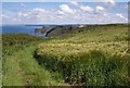 SS2727 : Coast path above Exmansworthy Cliff by Derek Harper