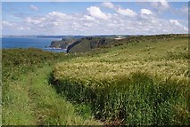 SS2727 : Coast path above Exmansworthy Cliff by Derek Harper
