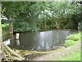 Pond near Bradley Orchard