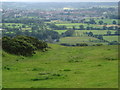 Bridle Path to Leek