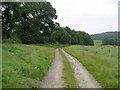 Access Lane from Galphay Woods Farm