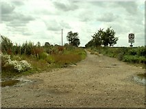 TL5573 : Bridleway leading to High Fen Farm by Robert Edwards