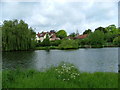 Moulsford from the Ridgeway Path