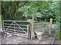 SO5400 : Stile into Caswell Wood by Roy Parkhouse