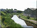 Fishing the Curly Wyrley